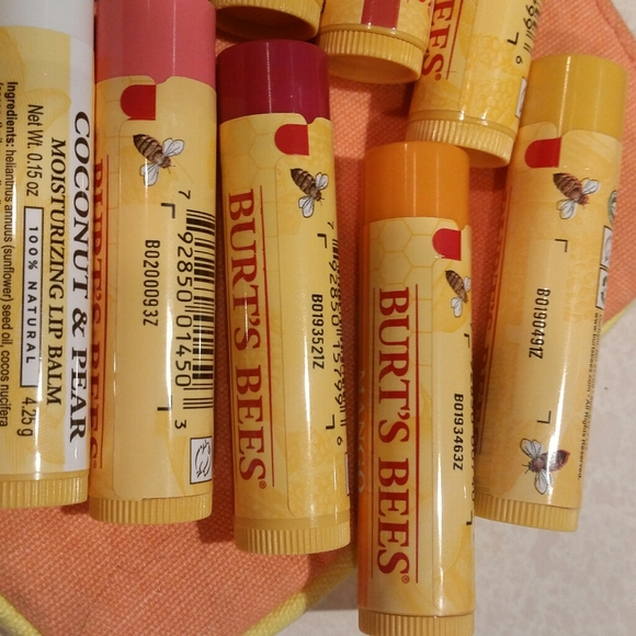 Burt's Bees Makeup Ct Burts Bees Grab Bag Chapstick Lot New Poshmark